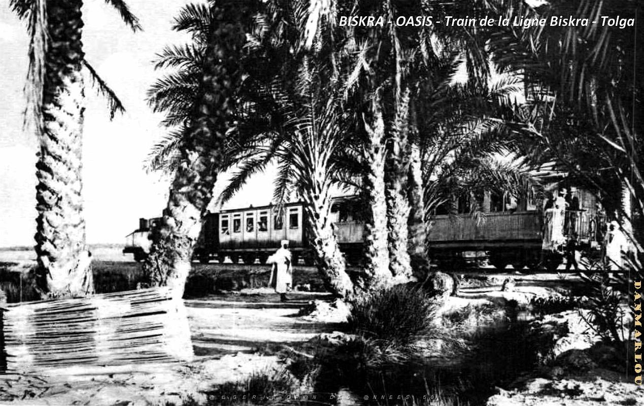 Biskra - Oasis - Train Ligne Biskra-Tolga.jpg